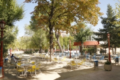 Cafeteria (1)