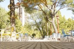 Cafeteria (2)