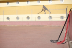 Hockey (5)