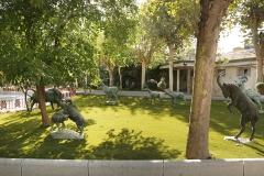 Instalaciones (9)