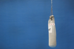 Judo (9)