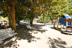 Parque (6)