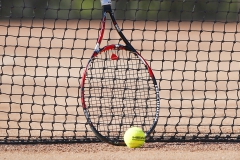 Tenis (15)