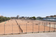 Tenis (2)