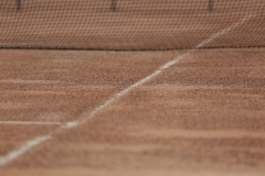 Tenis (7)